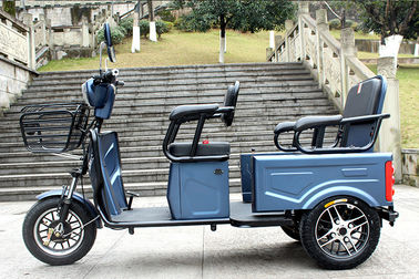 2 person tricycle