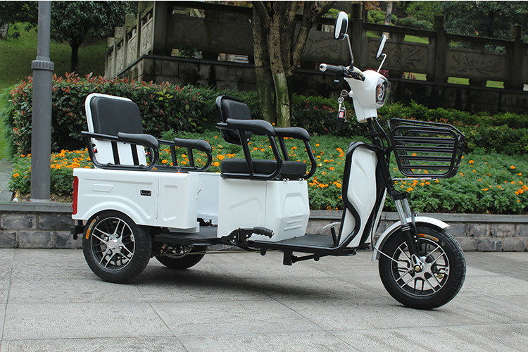 20Ah Lead Acid Battery 800W Three Wheel Electric Scooter