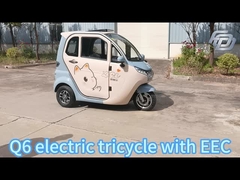 Q6 e-trike 1200W 3 wheel electric car adult electric tricycle with EEC certificate