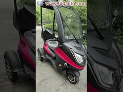 outdoors 3 wheels electric scooters 800W electric tricycle with EEC COC certification