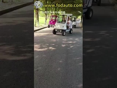 Stable Electric Sightseeing Vehicle With 350W Brushless DC Motor Drum Brake