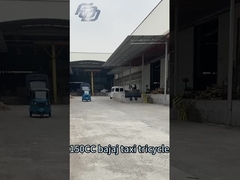 Gasoline Powered Tricycle