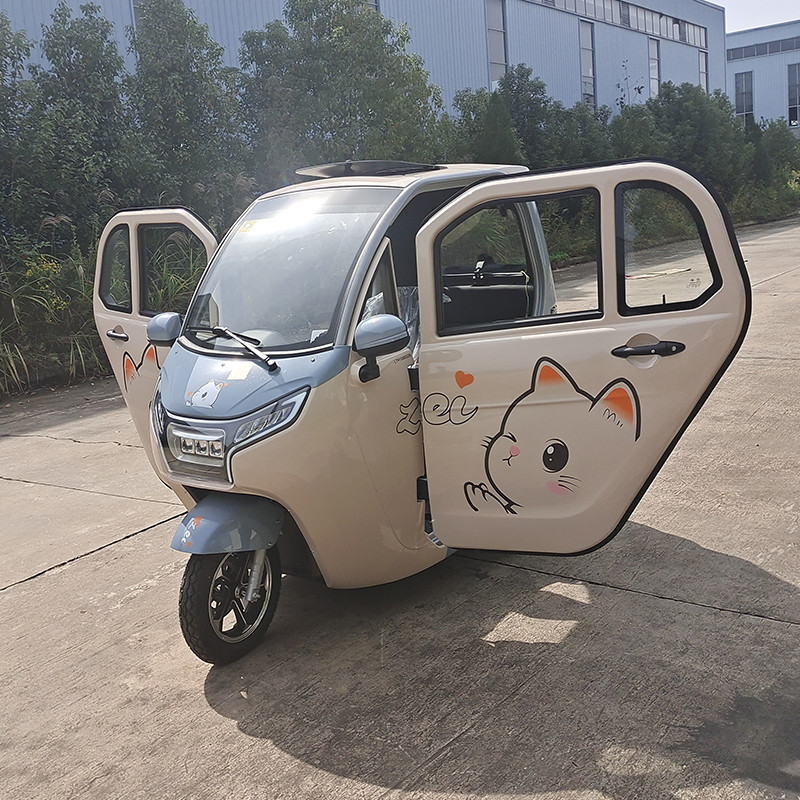 Factory Wholesale e trike 1200W 3 wheel electric carelectric