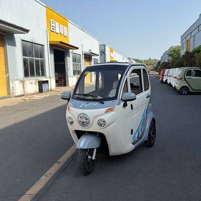Electric Cabin Scooter Enclosed Electric Tricycles 1200W 3 wheel Car