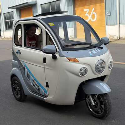 Electric Cabin Scooter Enclosed Electric Tricycles 1200W 3 wheel Car