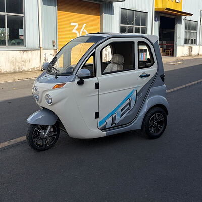 Electric Cabin Scooter Enclosed Electric Tricycles 1200W 3 wheel Car