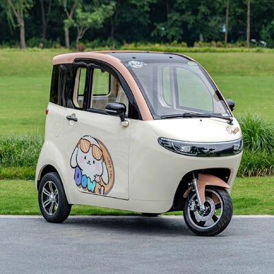 Electric Cabin Scooter  3000W Enclosed Electric Tricycles with Air condition