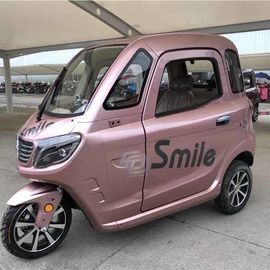 40km/H Button Start 1500W Enclosed Electric Trike